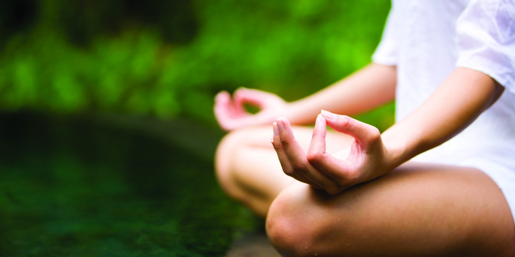 Terapias alternativas, meditación y medicina China - Tao Vital Granada