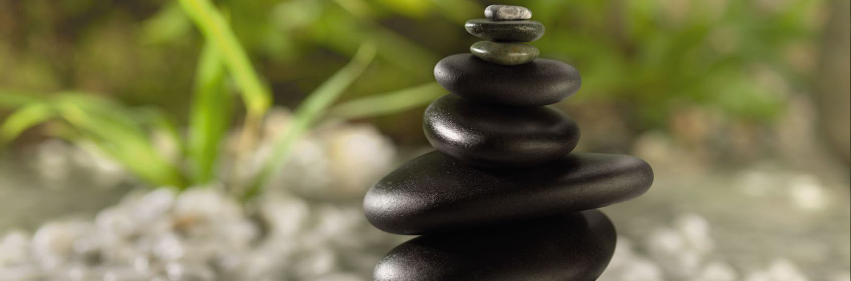 Terapias alternativas, meditación y medicina China - Tao Vital Granada