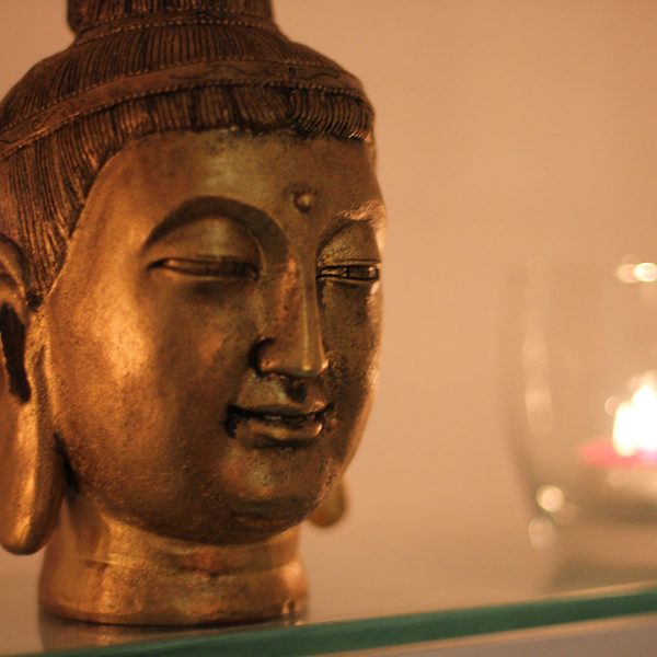 Terapias alternativas, meditación y medicina China - Tao Vital